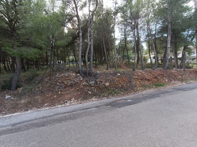 property-img